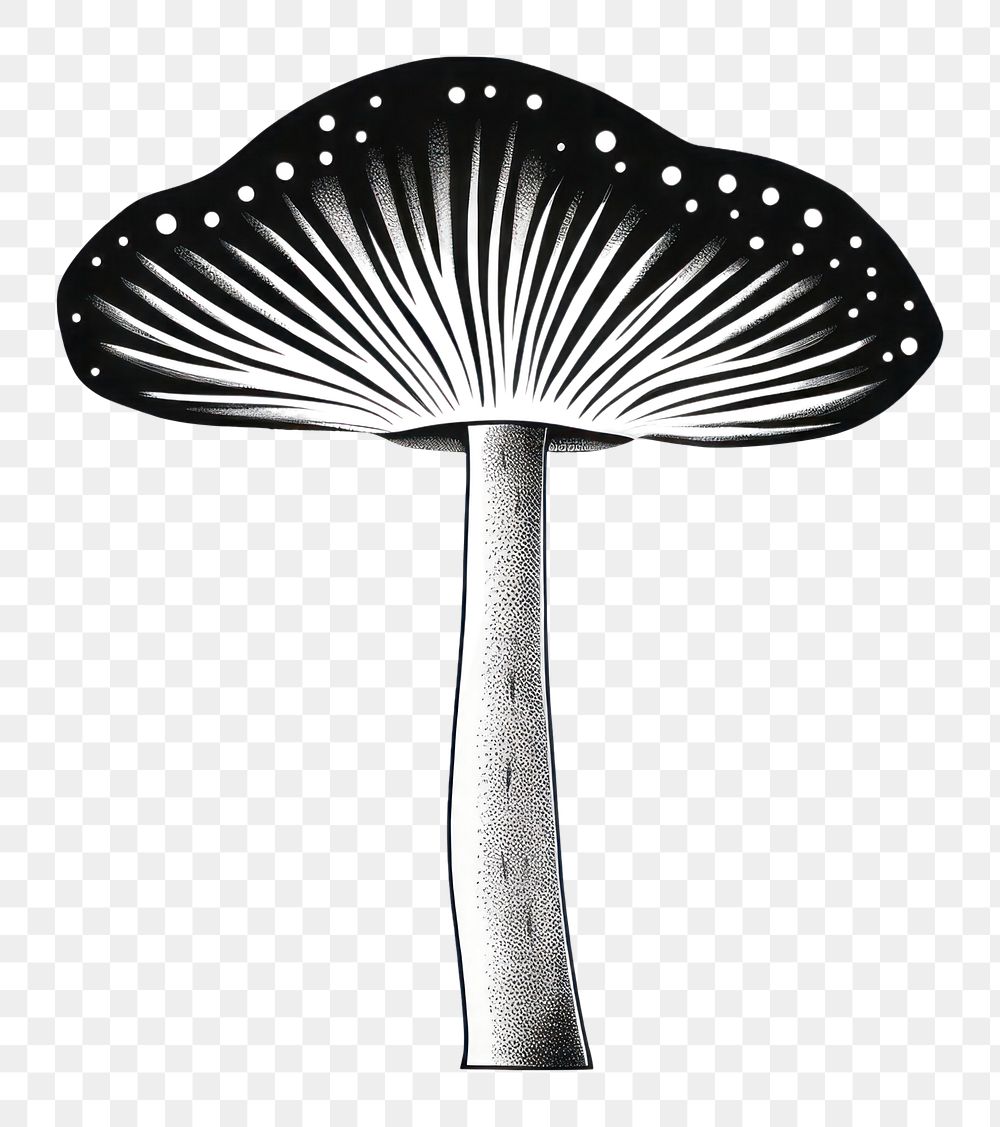 PNG  Mushroom mushroom drawing sketch. AI generated Image by rawpixel.