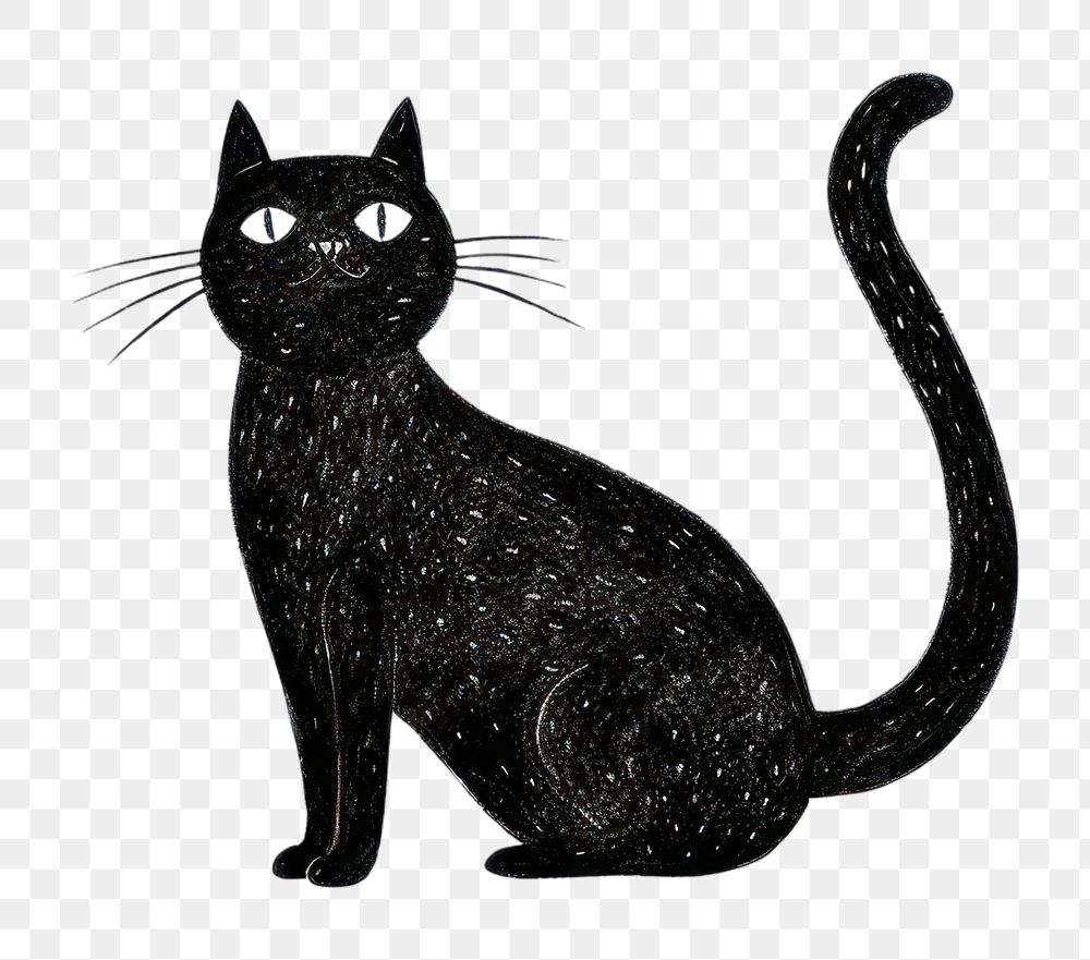 PNG  Black Cat silhouette animal mammal. AI generated Image by rawpixel.