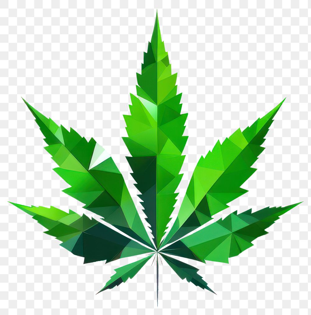 PNG Cannabis plant green leaf. AI generated Image by rawpixel.
