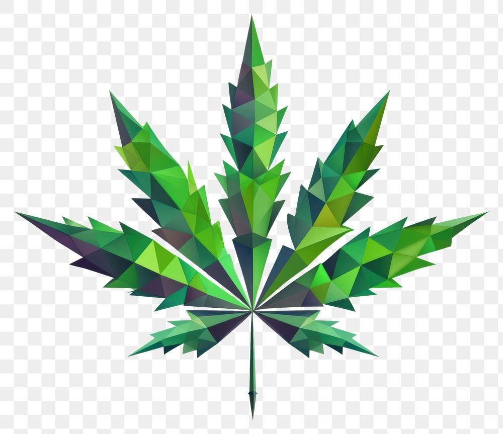 PNG Cannabis green plant leaf. AI generated Image by rawpixel.