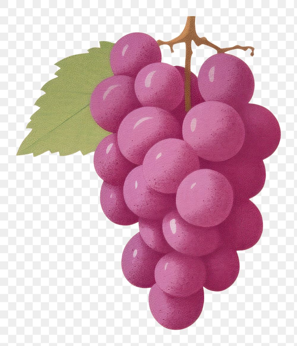 PNG Grapes fruit plant food. AI generated Image by rawpixel.