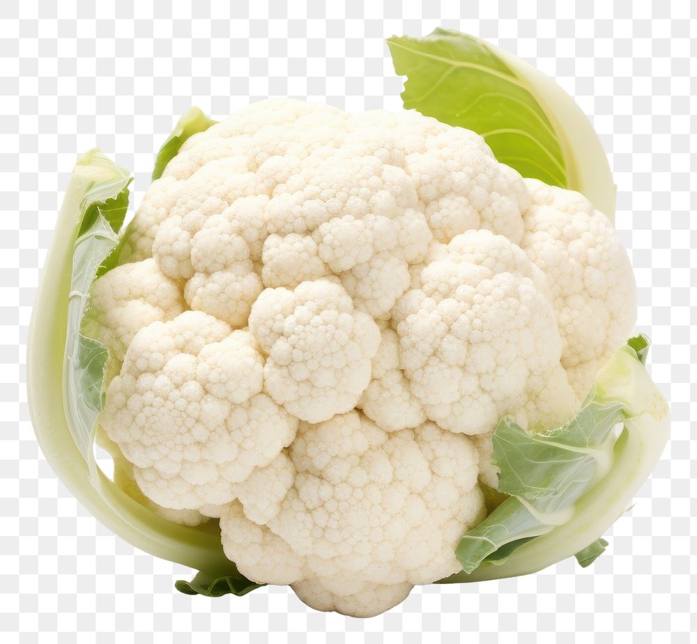 PNG  Cauliflower cauliflower vegetable white. AI generated Image by rawpixel.