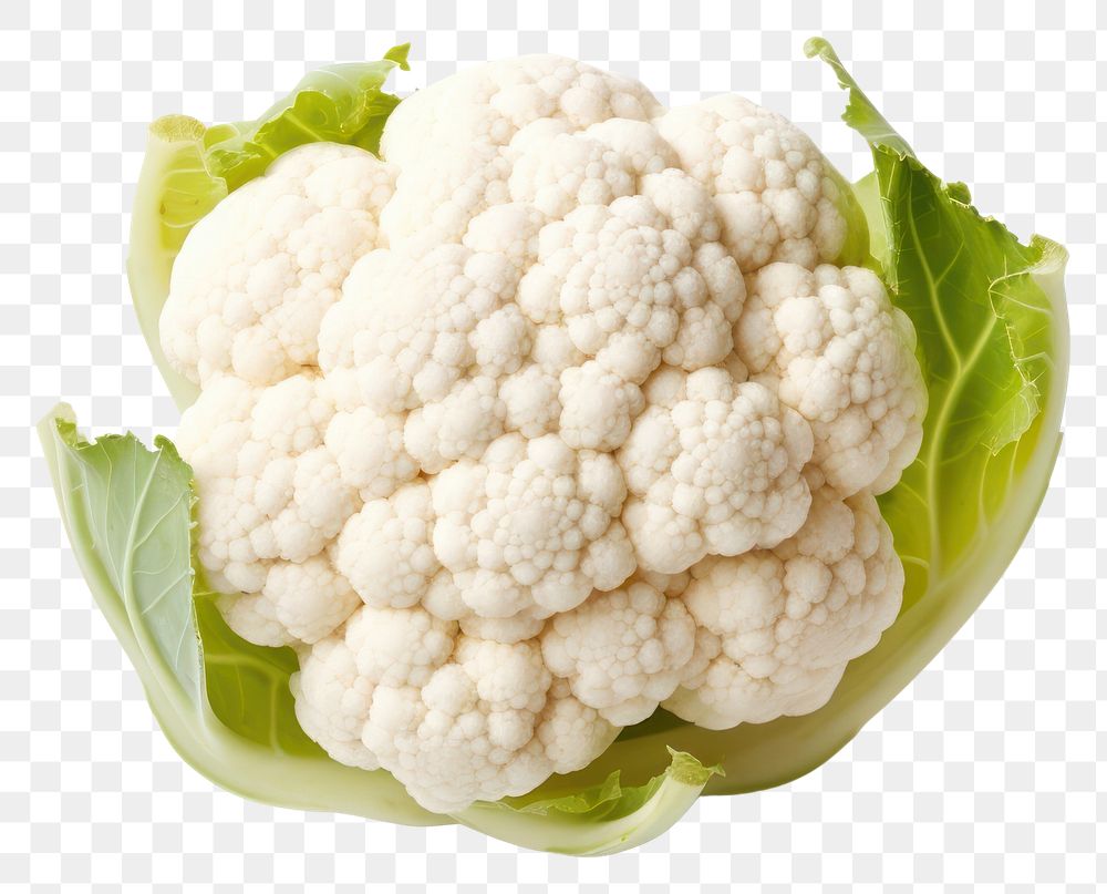 PNG  Cauliflower vegetable plant food. AI generated Image by rawpixel.
