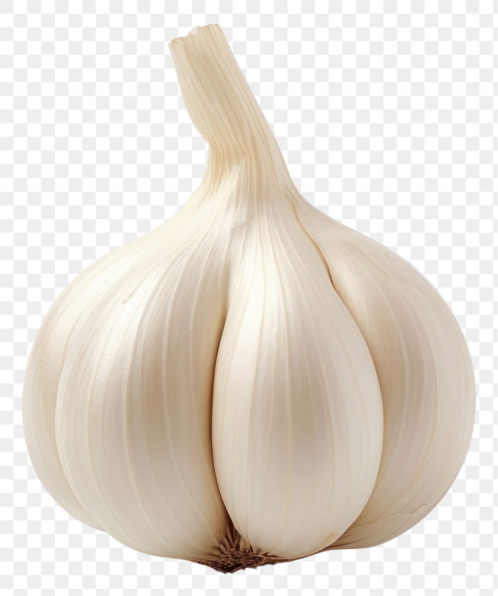 PNG  Garlic vegetable white food