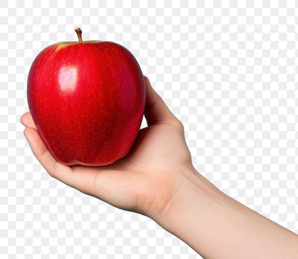PNG Hand holding red apple fruit plant food. AI generated Image by rawpixel.