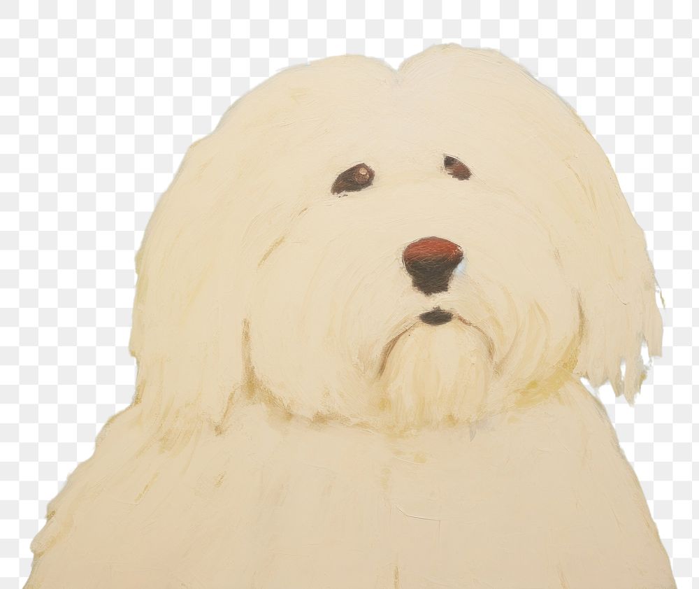 PNG Coton De Tulear painting animal mammal. AI generated Image by rawpixel.