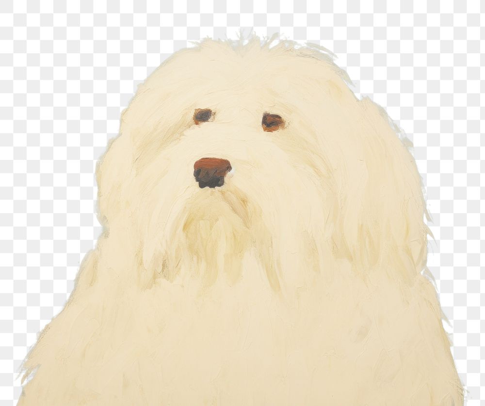 PNG Coton De Tulear painting animal mammal. AI generated Image by rawpixel.