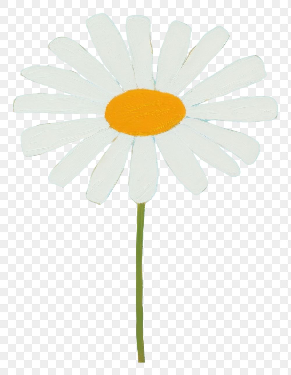 PNG Daisy flower plant inflorescence. AI generated Image by rawpixel.
