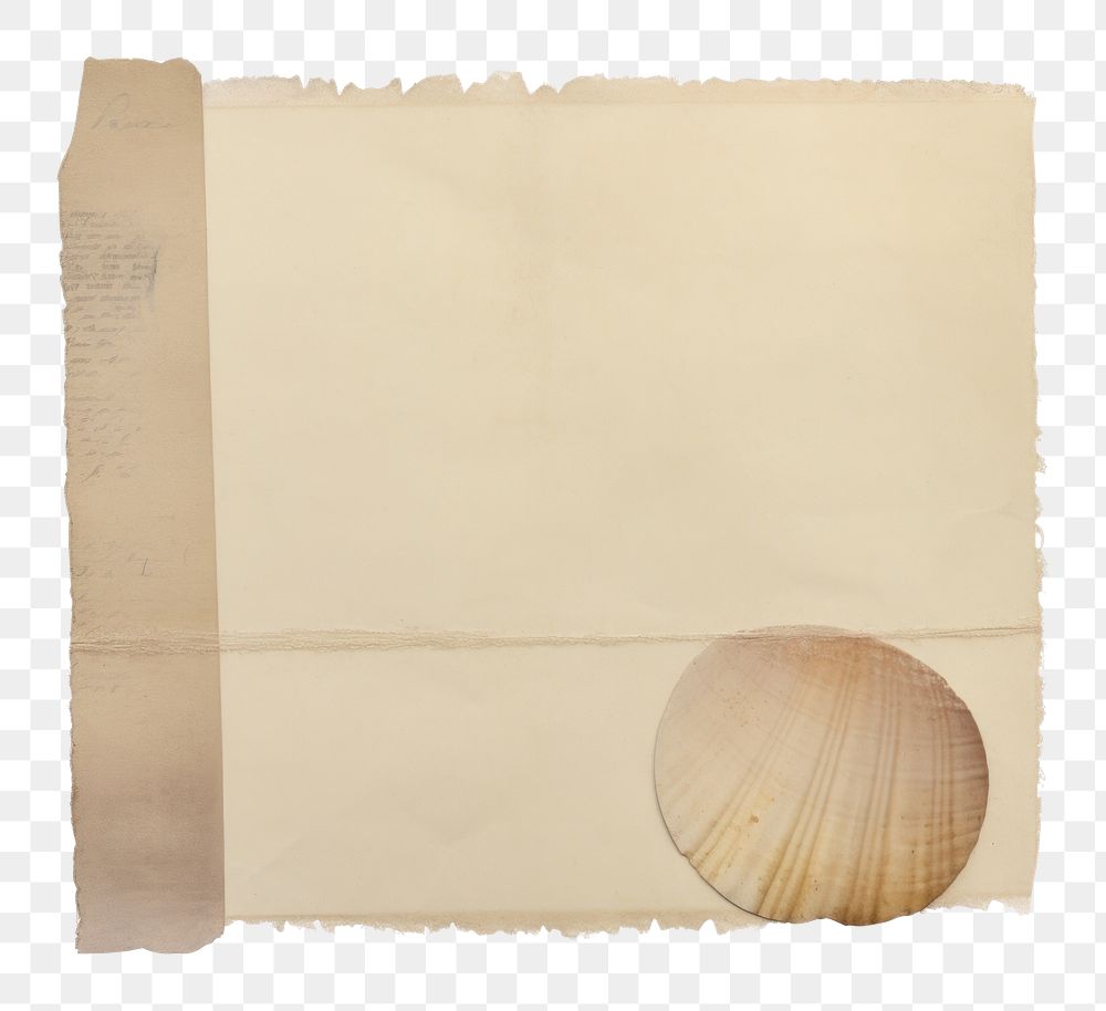 PNG Shell old white background invertebrate. AI generated Image by rawpixel.