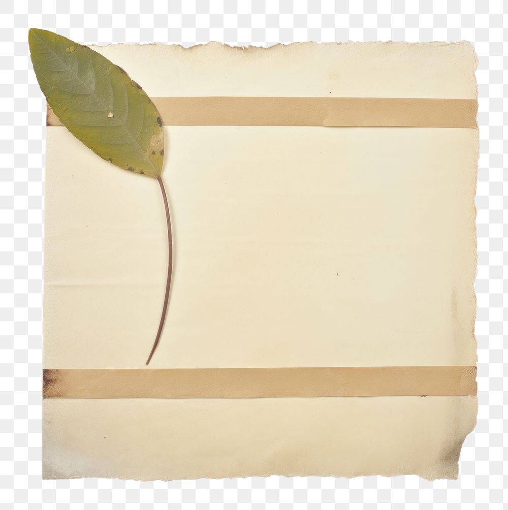 PNG Leaf plant paper old. AI generated Image by rawpixel.