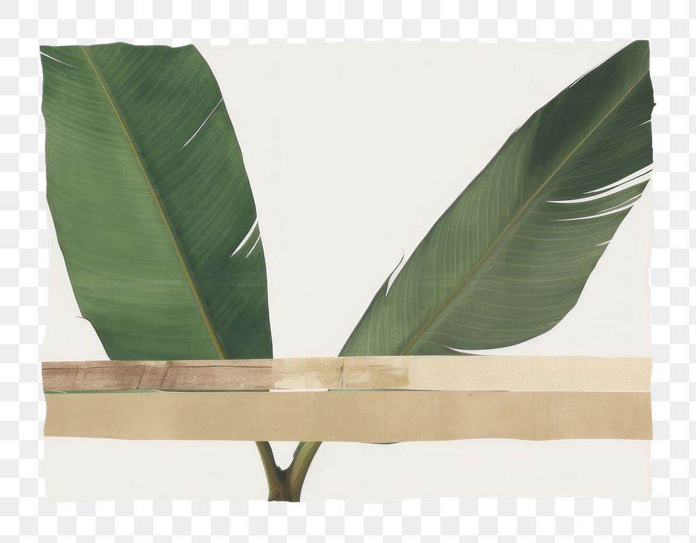 PNG Tropical leaves with tape plant leaf art. AI generated Image by rawpixel.