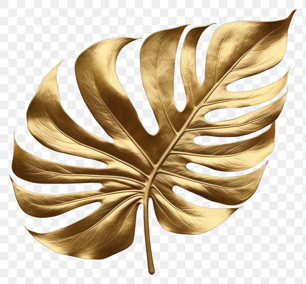 PNG  Monstera plant leaf gold. AI generated Image by rawpixel.