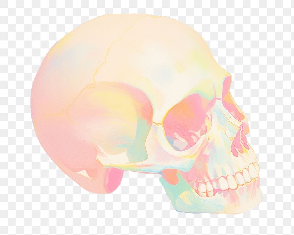 PNG  Skull painting drawing sketch. AI generated Image by rawpixel.