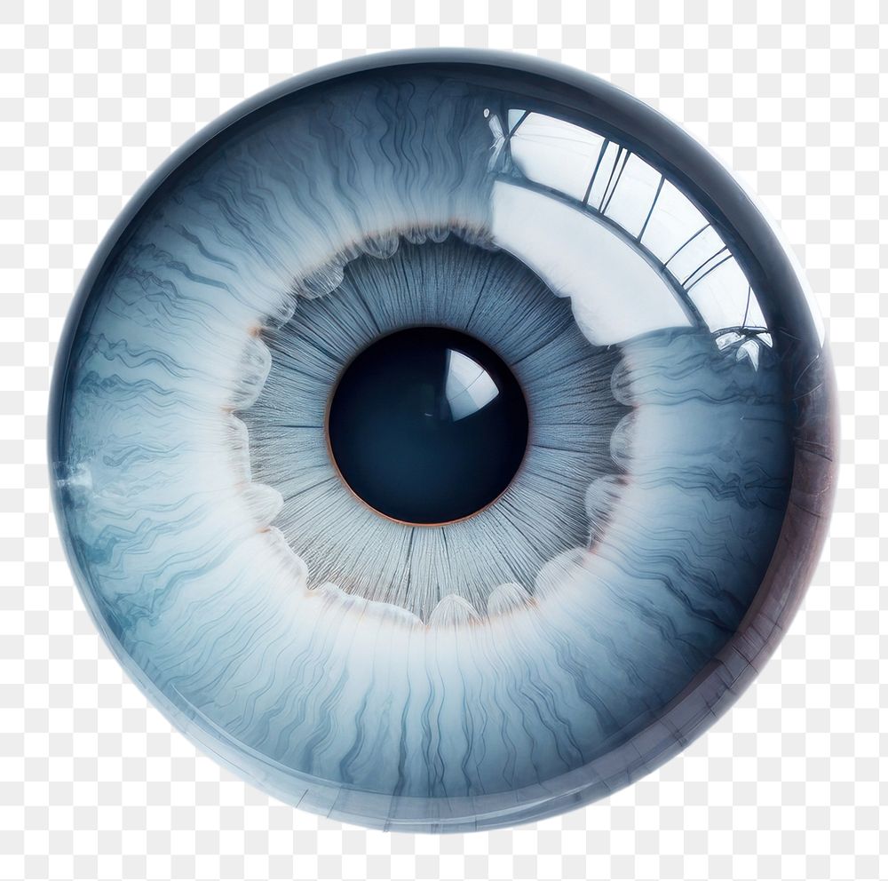 PNG  Contact lens technology eyeball eyelash