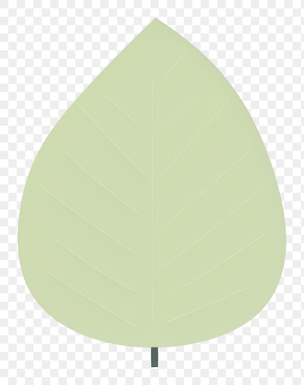 PNG  Leaf plant nature green. AI generated Image by rawpixel.