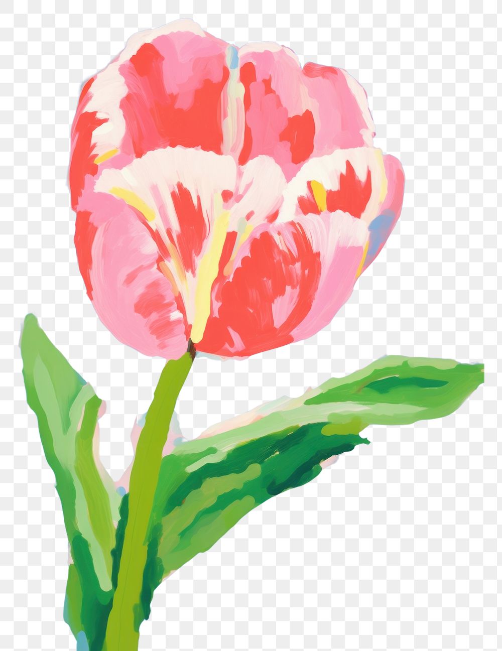 PNG Pink Tulip painting flower tulip. AI generated Image by rawpixel.