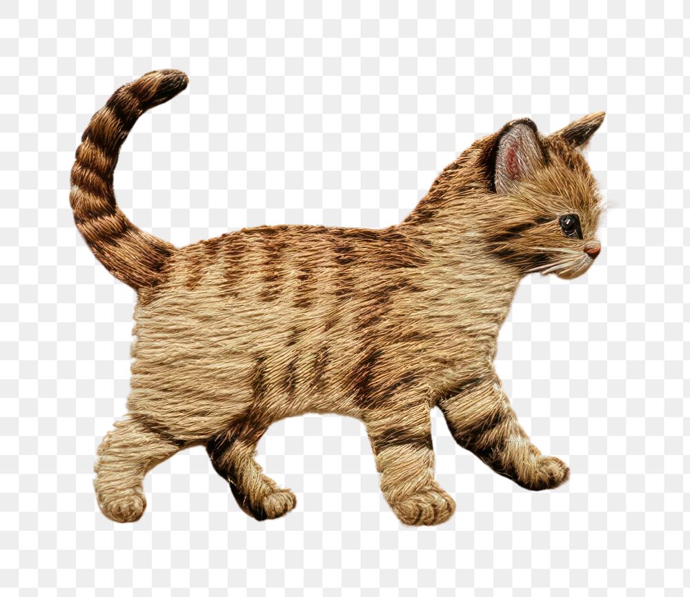 PNG Cat walking animal mammal pet. AI generated Image by rawpixel.