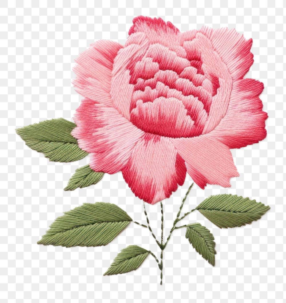 PNG  Little Peony circle border pattern embroidery flower. AI generated Image by rawpixel.