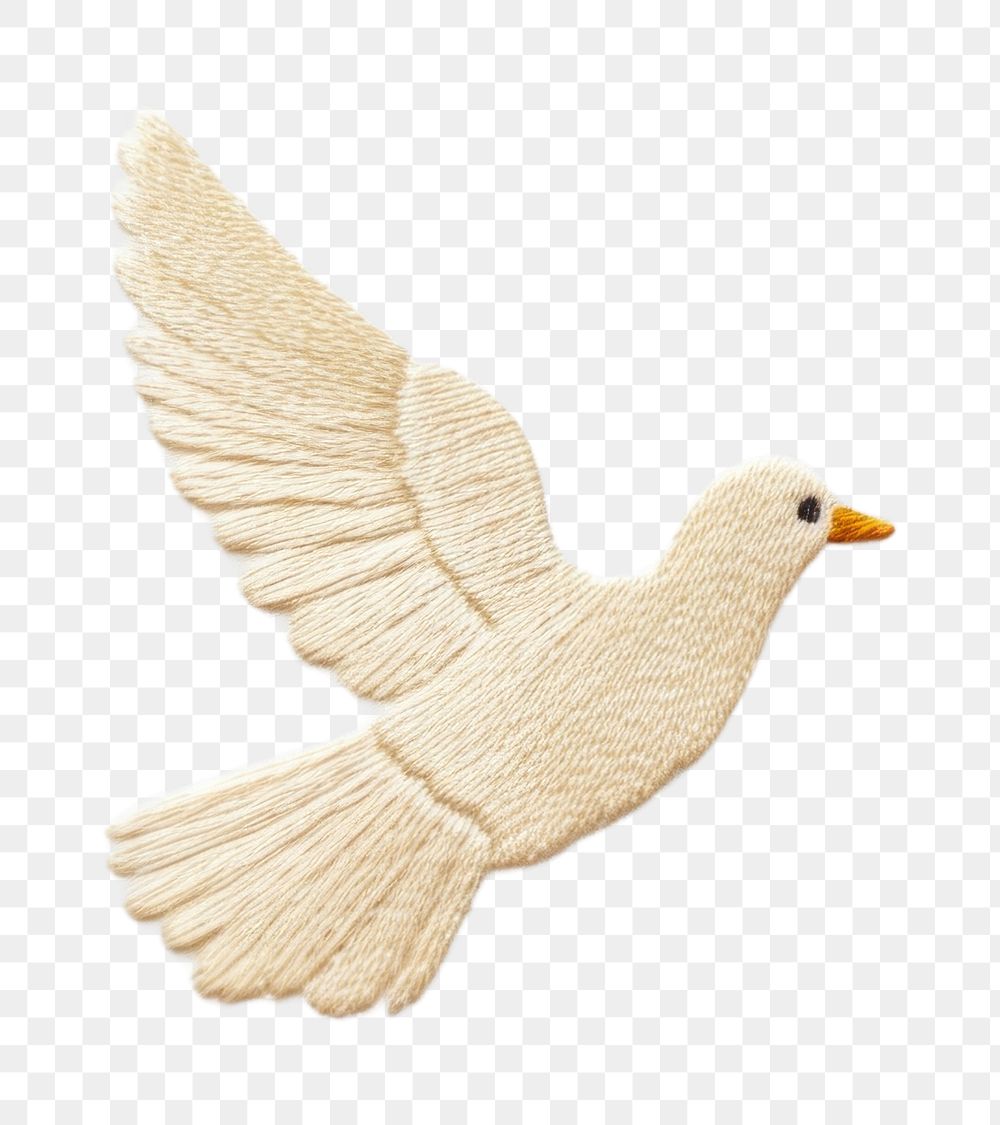 PNG Peace dove animal white bird