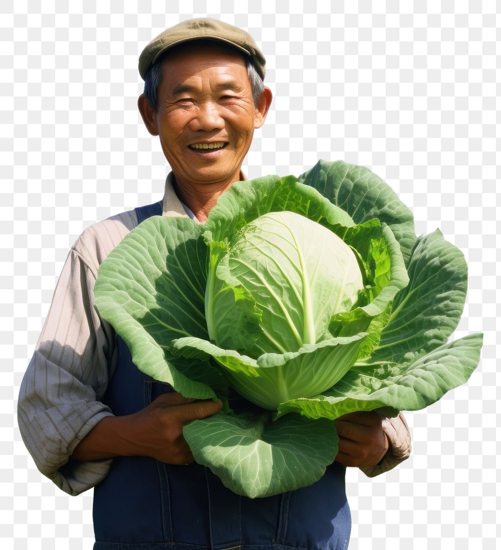 PNG Happy asian farmer cabbage vegetable portrait. AI generated Image by rawpixel.