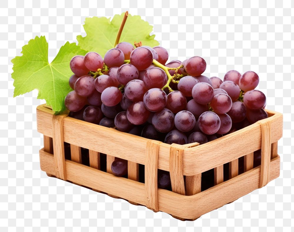 PNG Basket of grapes fruit plant food. AI generated Image by rawpixel.