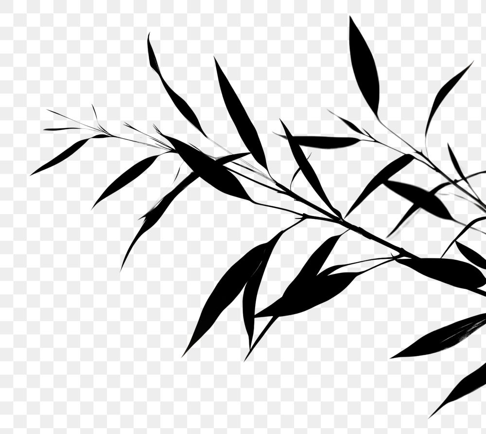 PNG  Plant silhouette leaf outdoors. AI generated Image by rawpixel.