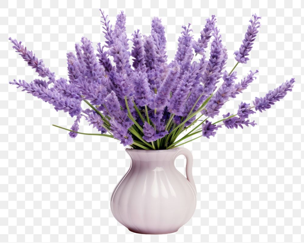 PNG  Lavender in vase blossom flower plant. AI generated Image by rawpixel.