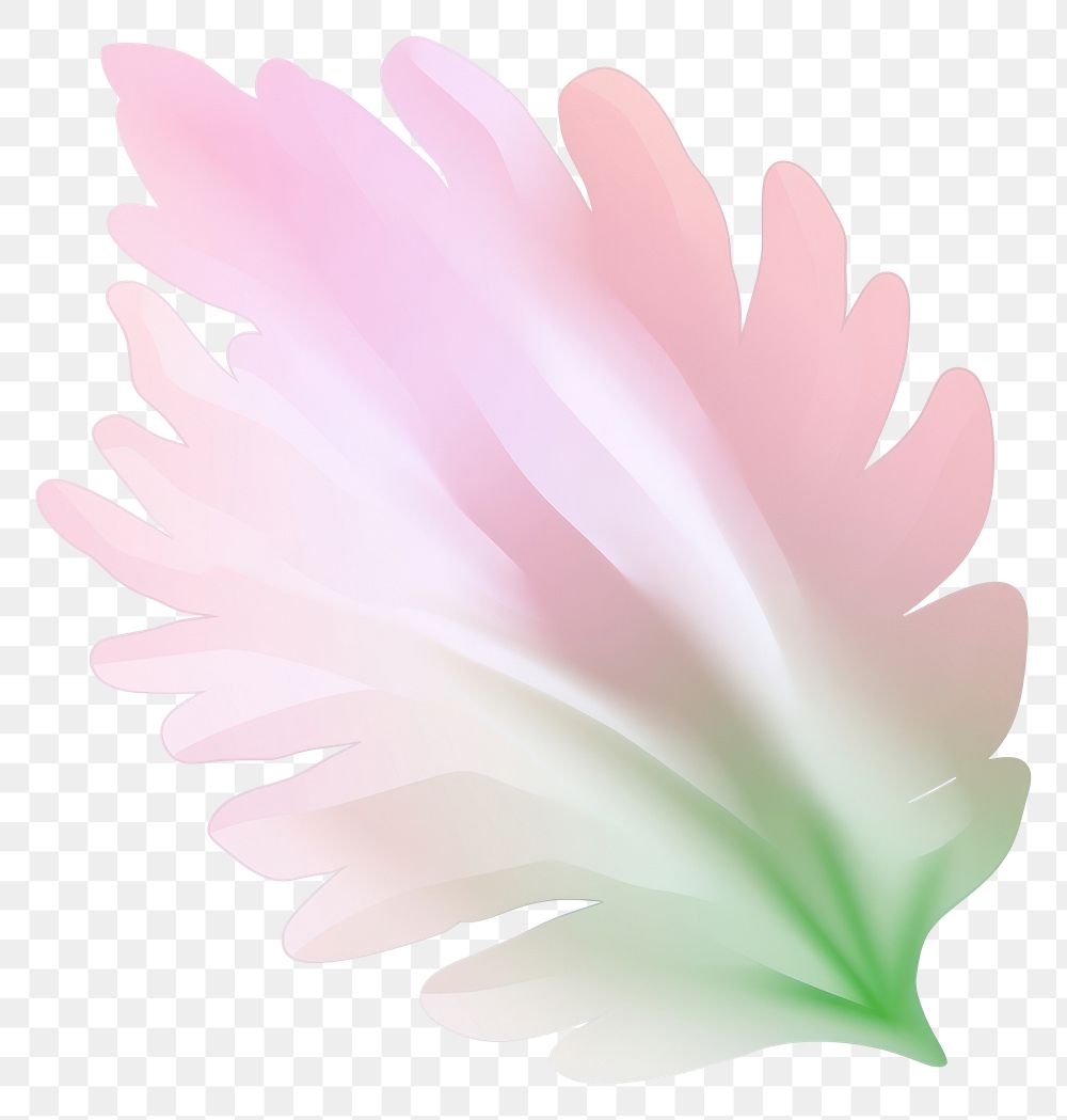 PNG Leaf abstract flower petal. AI generated Image by rawpixel.