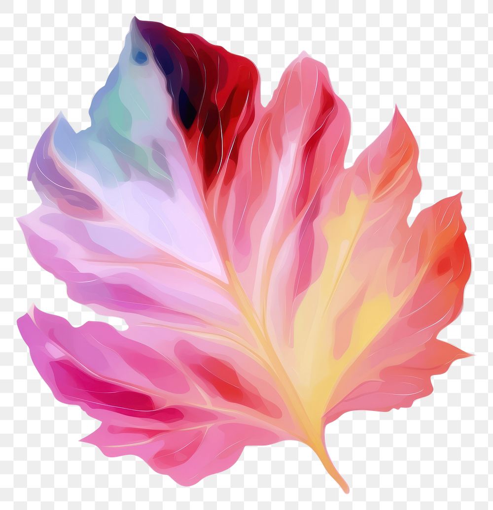 PNG Leaf flower petal plant. AI generated Image by rawpixel.