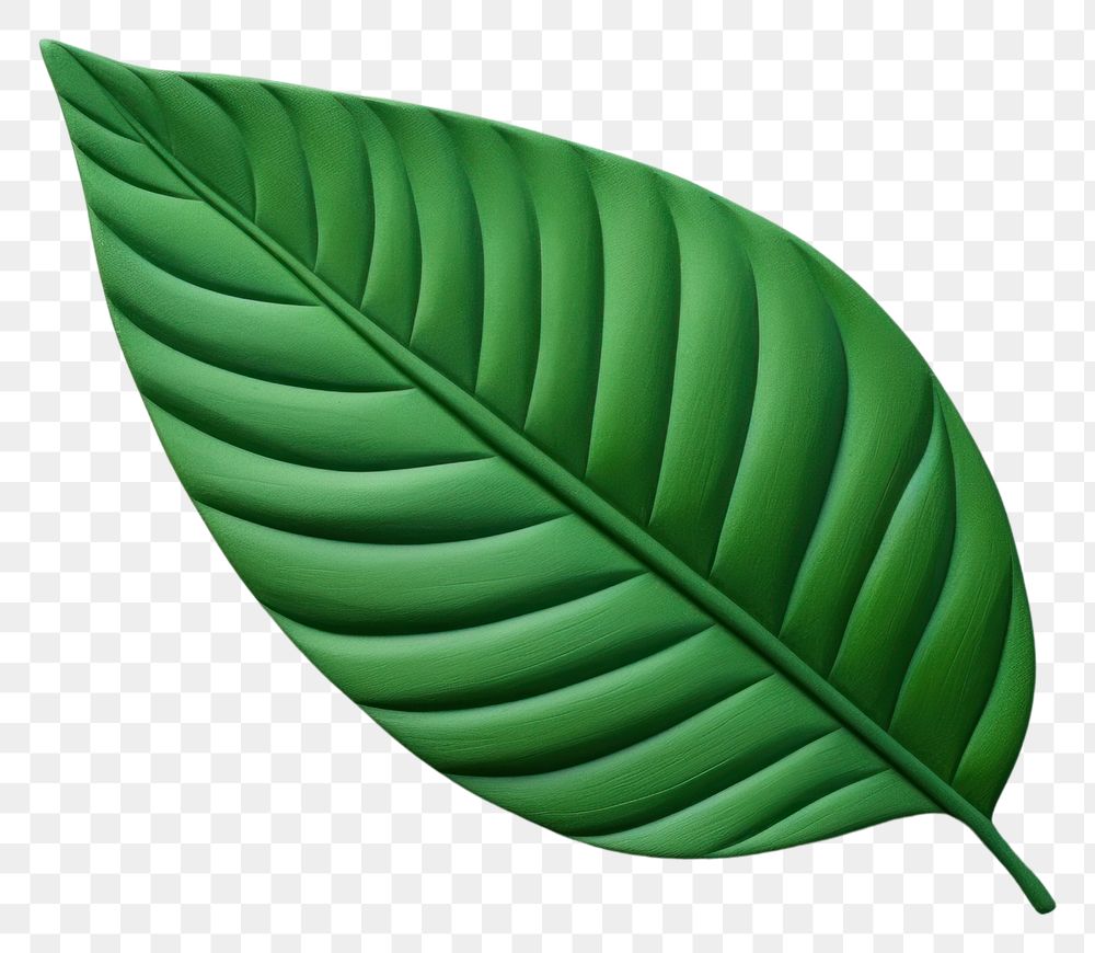 PNG Green leaf plant pattern produce. AI generated Image by rawpixel.