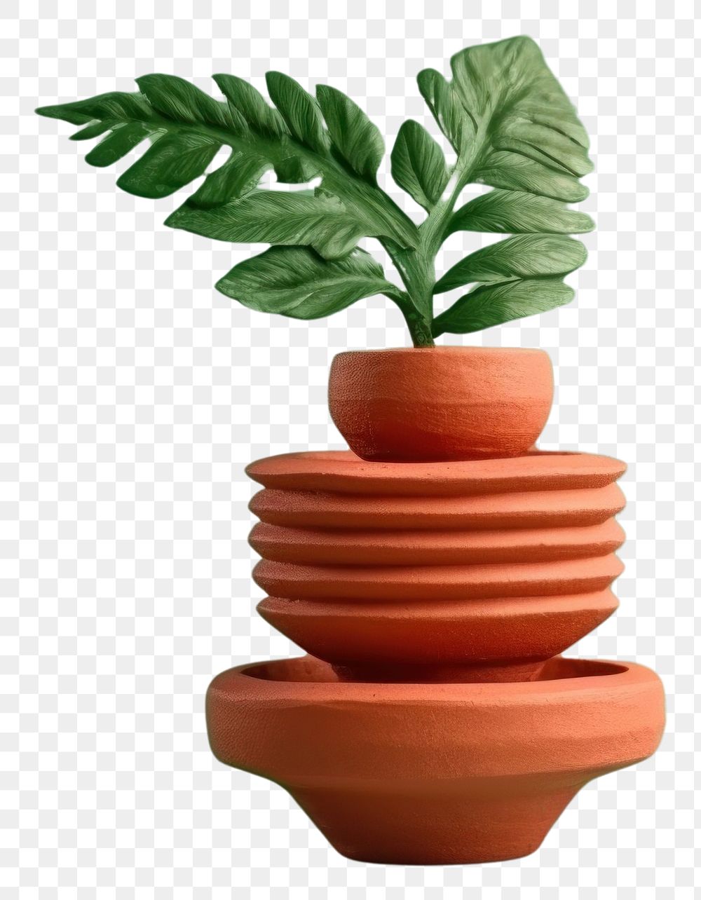 PNG Indoor plant clay leaf earthenware. AI generated Image by rawpixel.