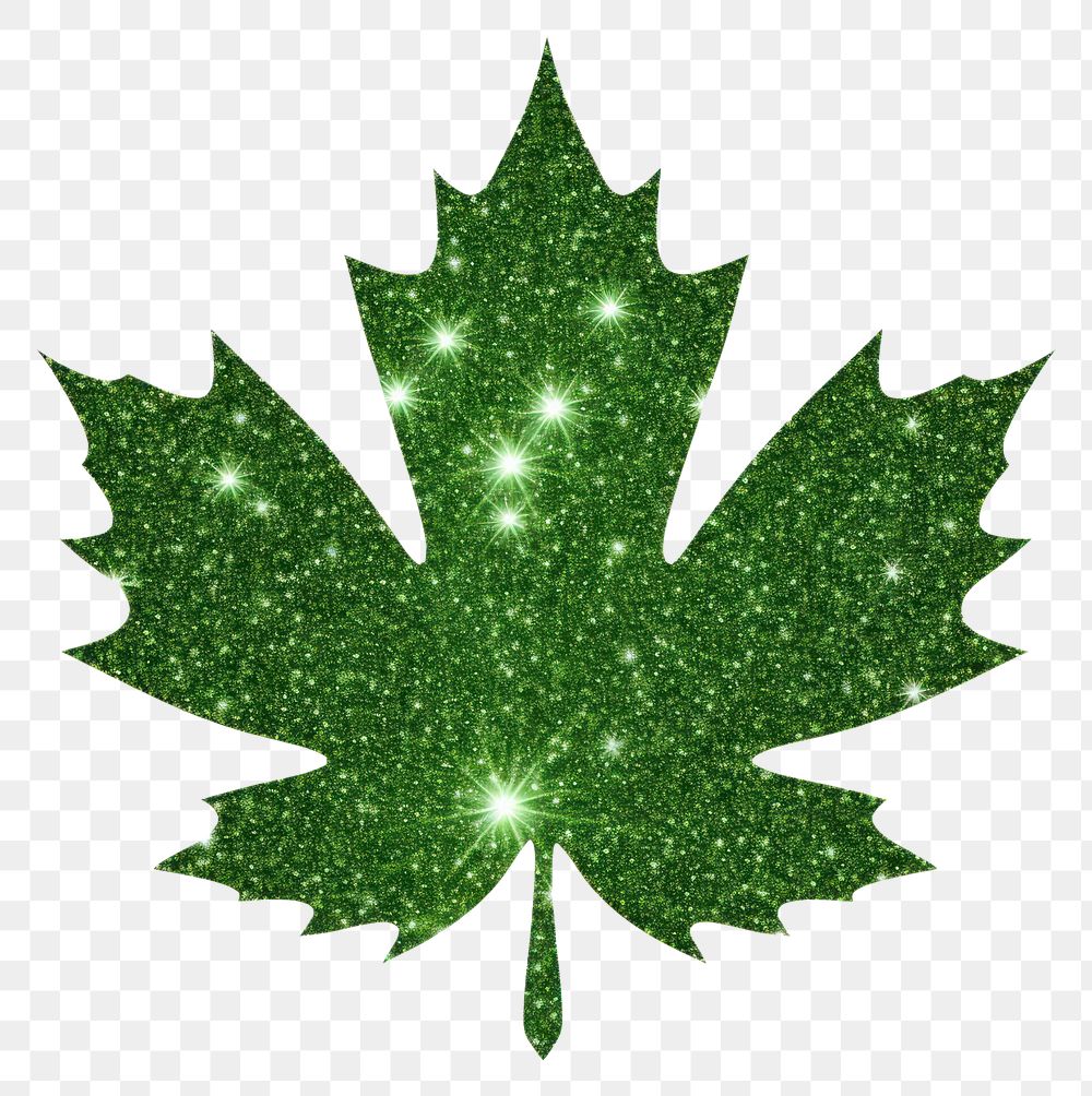 PNG Simple maple leaf icon plant shape green