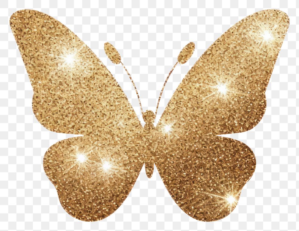 PNG Butterfly icon glitter gold  