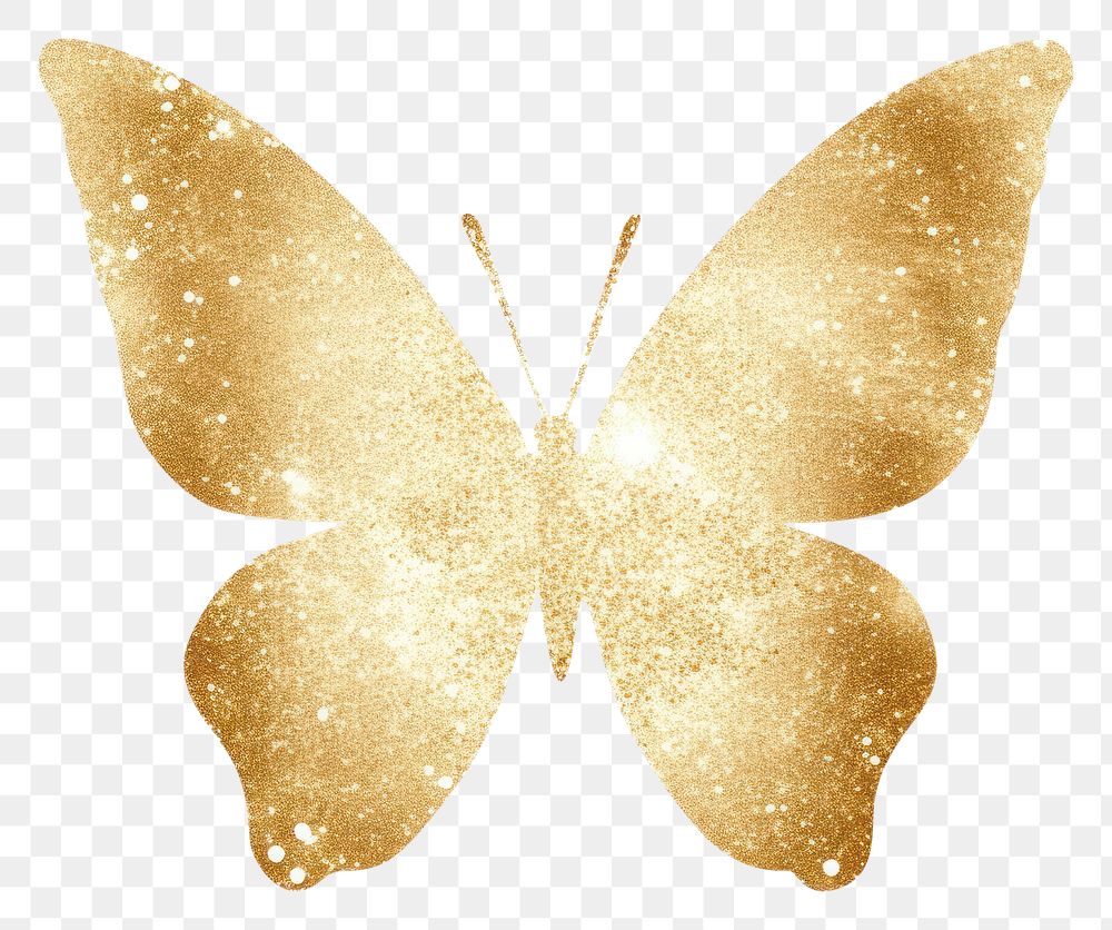 PNG Butterfly icon gold white background accessories. AI generated Image by rawpixel.