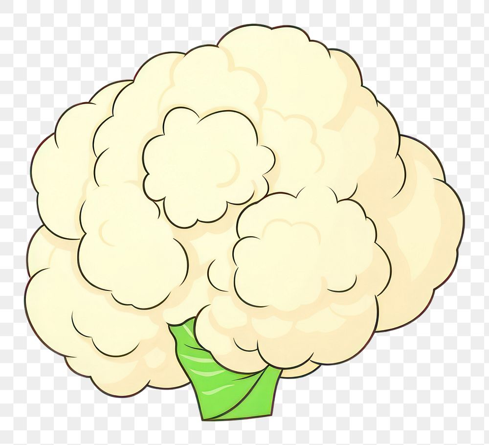 PNG  Cauliflower cartoon plant chandelier. AI generated Image by rawpixel.