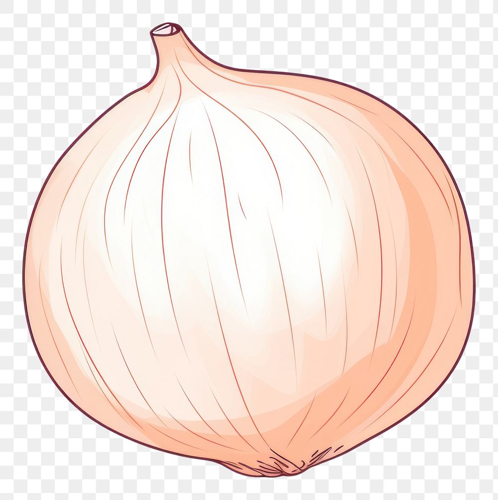 PNG  Onion vegetable shallot cartoon. AI generated Image by rawpixel.