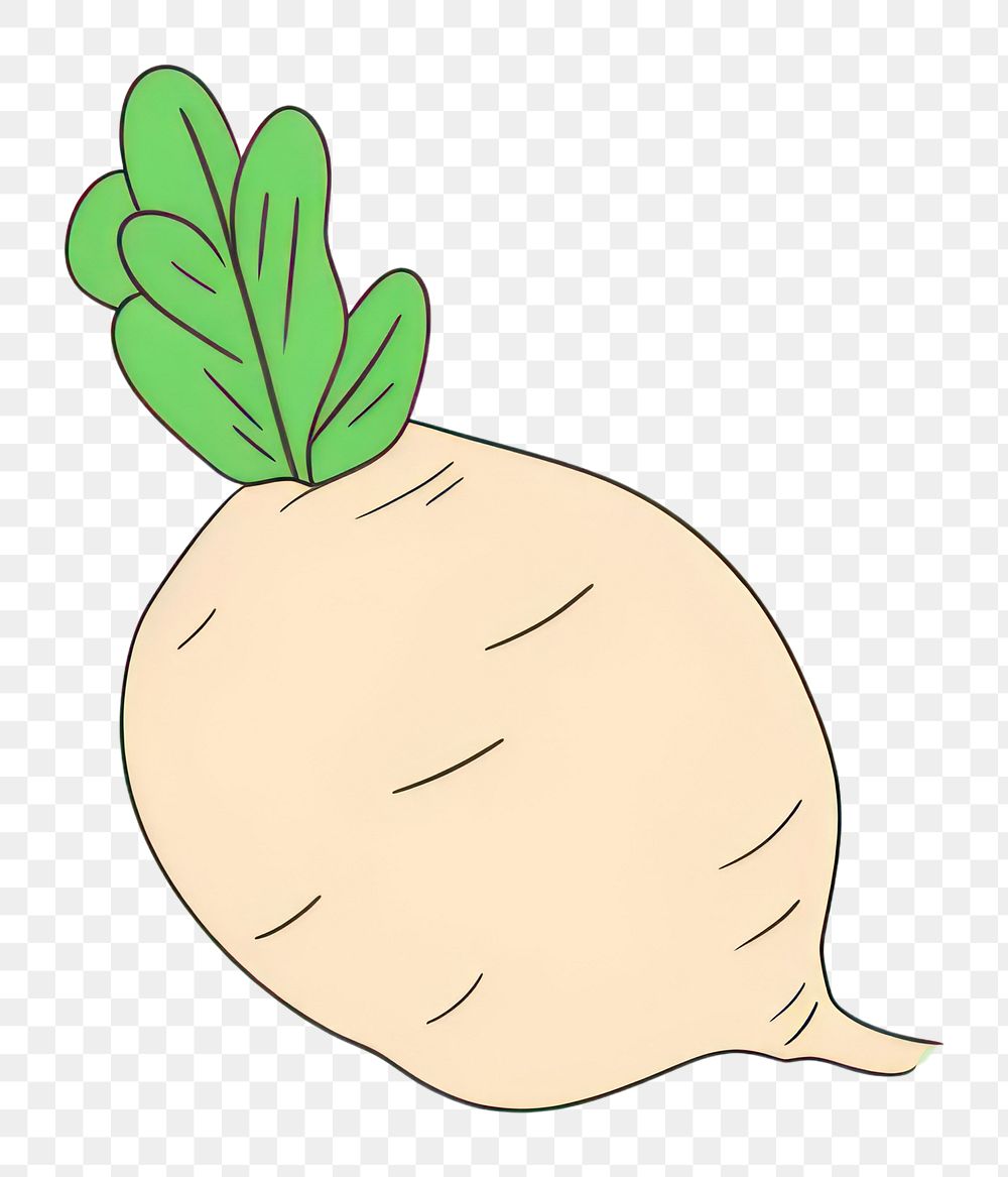 PNG  Radish vegetable cartoon plant. AI generated Image by rawpixel.