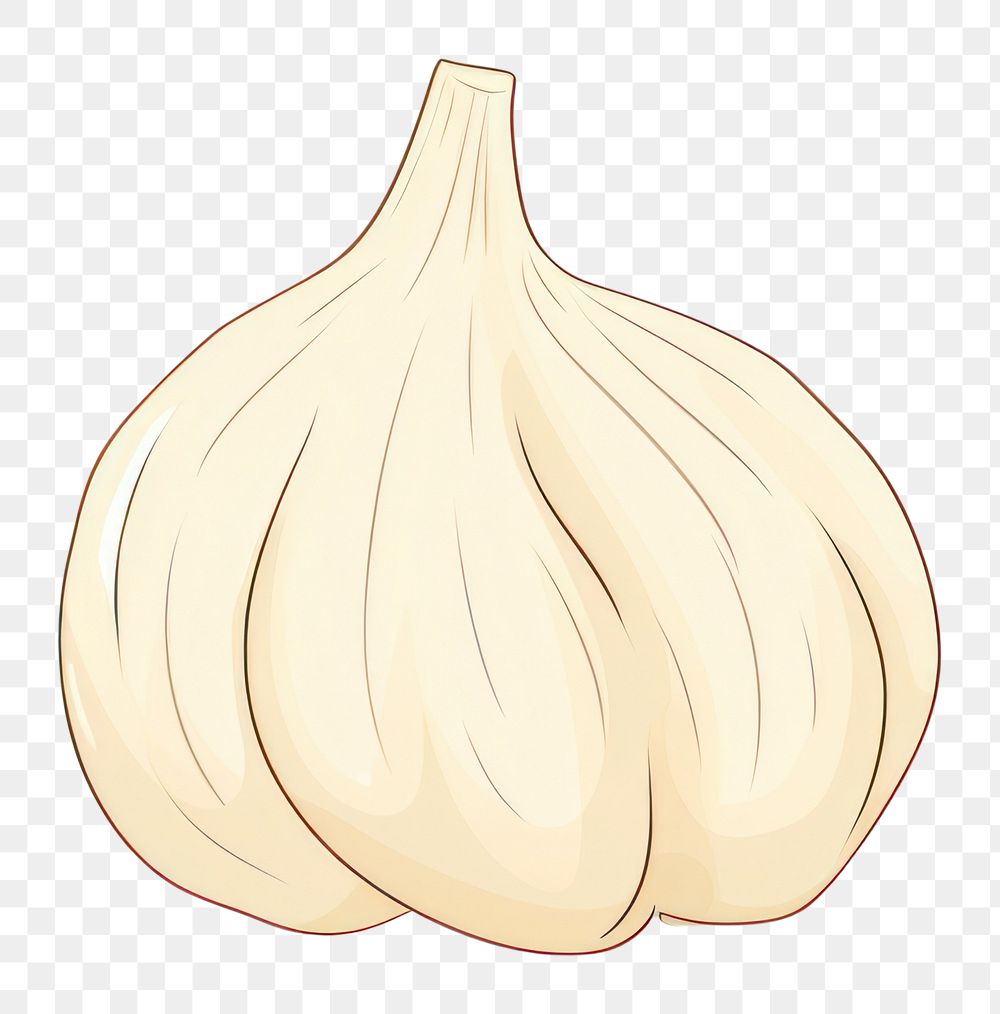 PNG  Garlic vegetable cartoon food. AI generated Image by rawpixel.