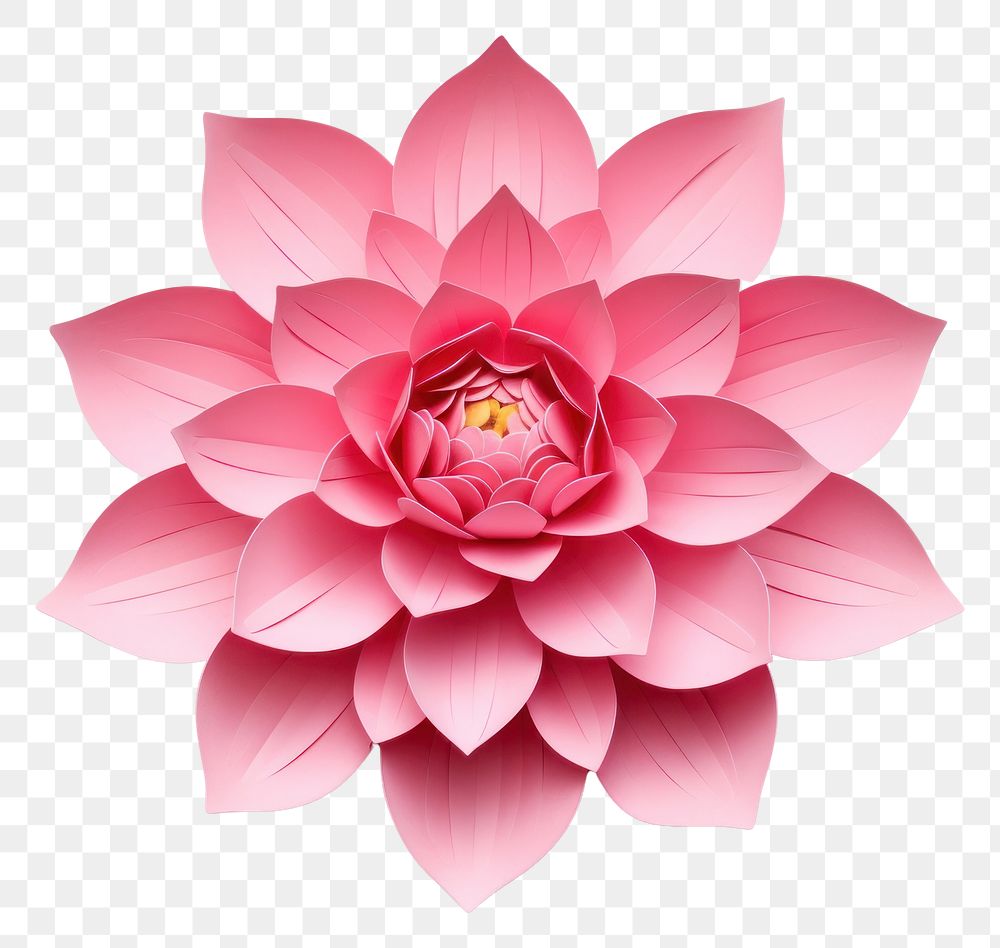 PNG Lotus flower dahlia petal. AI generated Image by rawpixel.