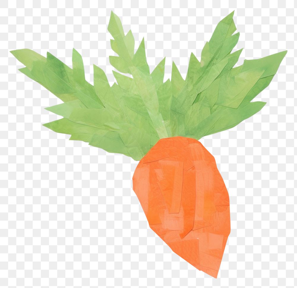 PNG  Carrot vegetable plant food. AI generated Image by rawpixel.