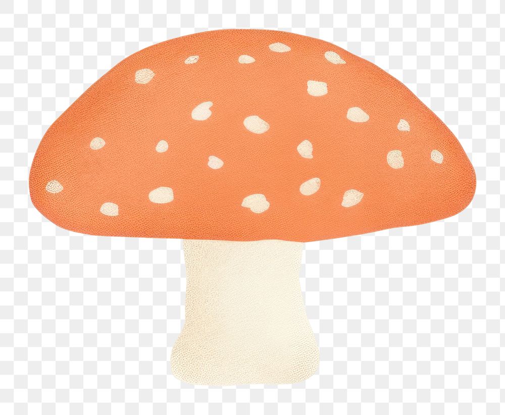 PNG Mushroom fungus agaric white background. AI generated Image by rawpixel.