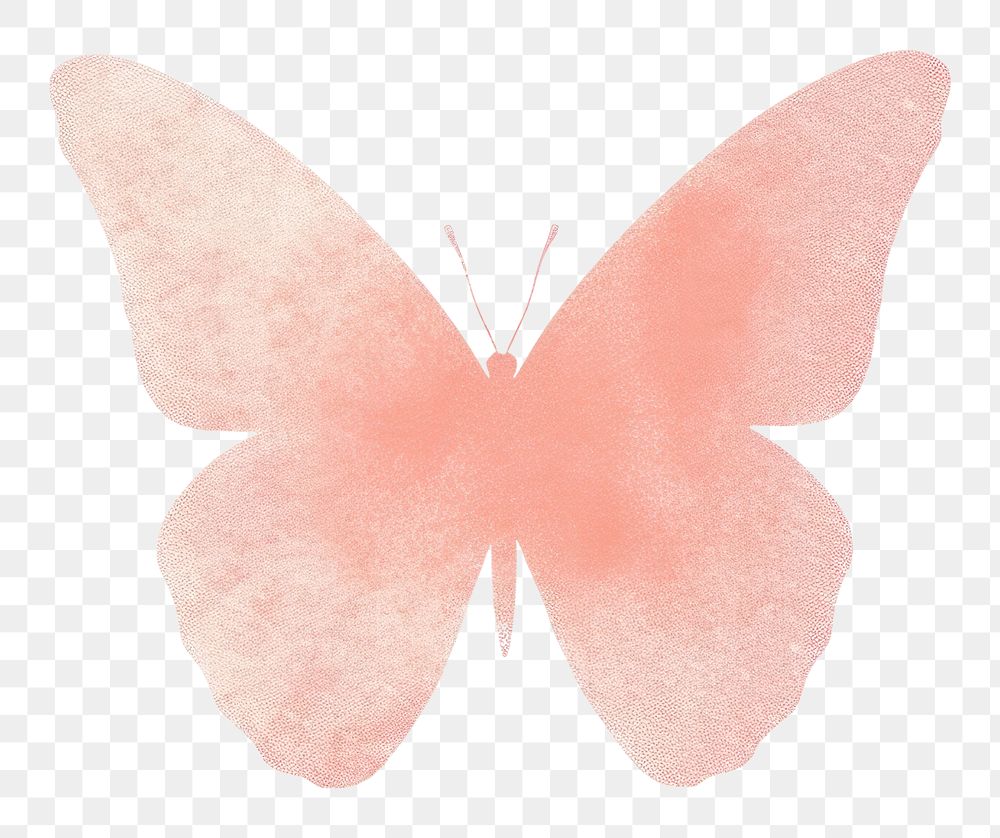 PNG Butterfly animal petal white background. AI generated Image by rawpixel.