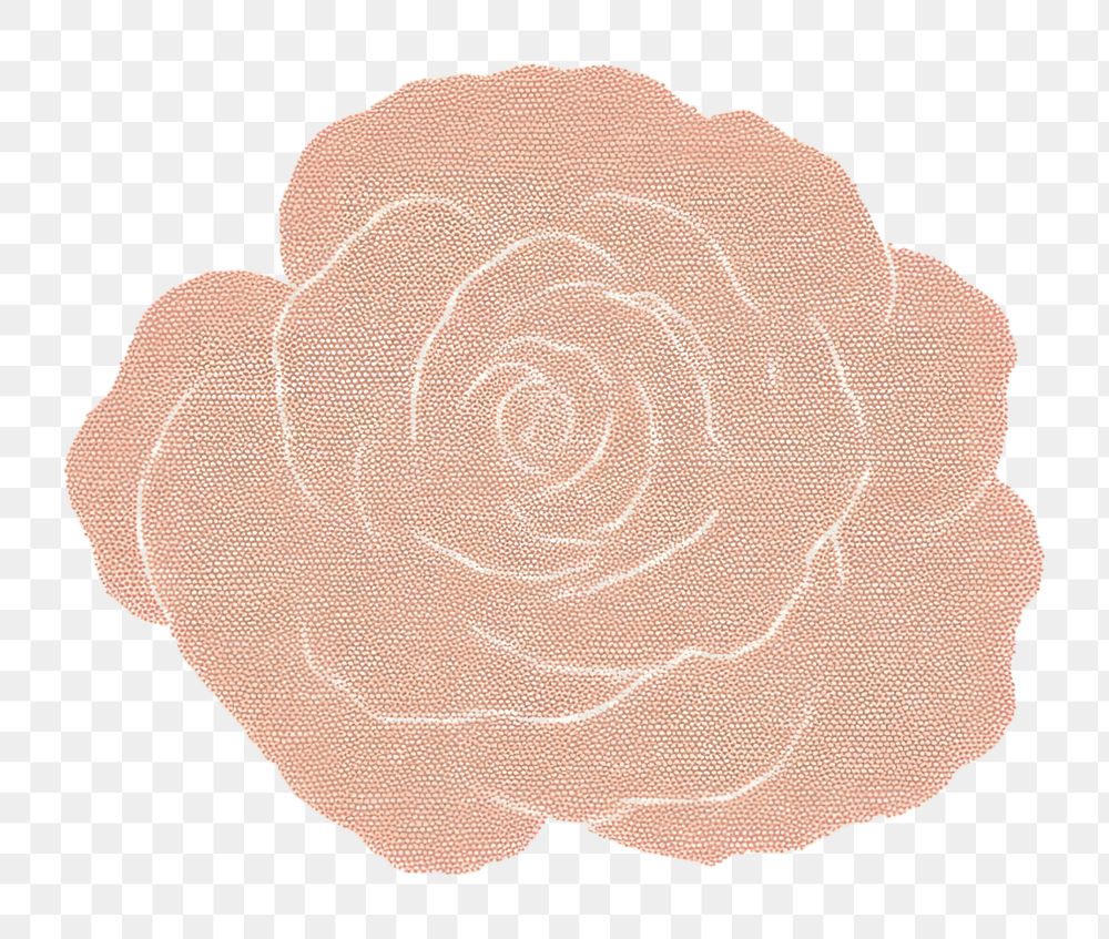 PNG Rose pattern flower plant. AI generated Image by rawpixel.
