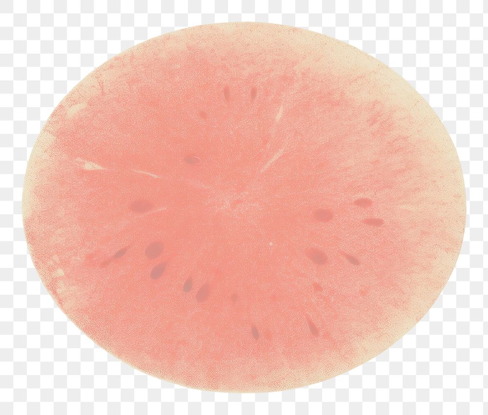 PNG Watermelon petal magnification microbiology. AI generated Image by rawpixel.