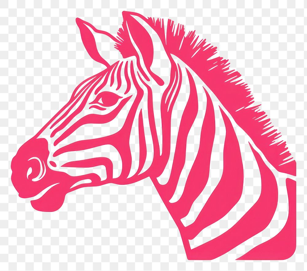 PNG Zebra animal mammal white background. AI generated Image by rawpixel.