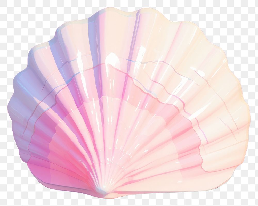 PNG A sea shell seashell clam invertebrate. AI generated Image by rawpixel.
