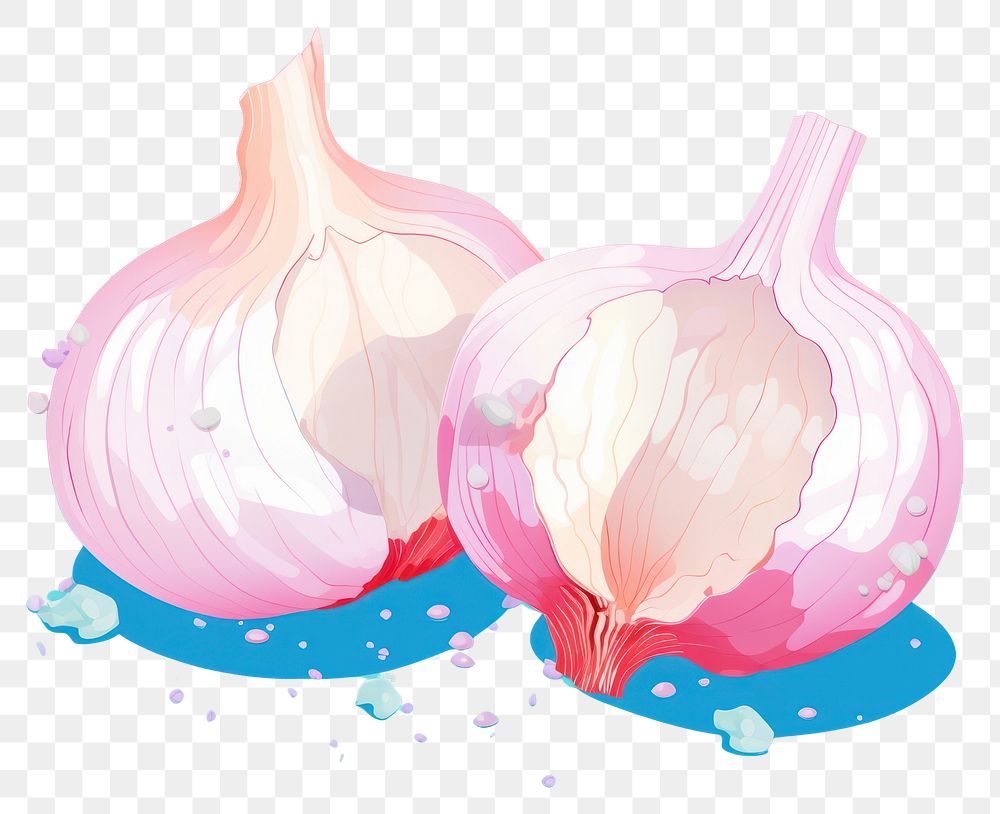 PNG A garlic vegetable food ingredient. AI generated Image by rawpixel.