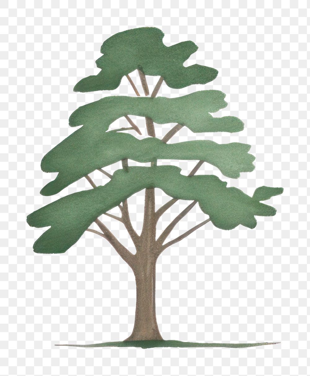 PNG Tree sketch symbol plant. AI generated Image by rawpixel.