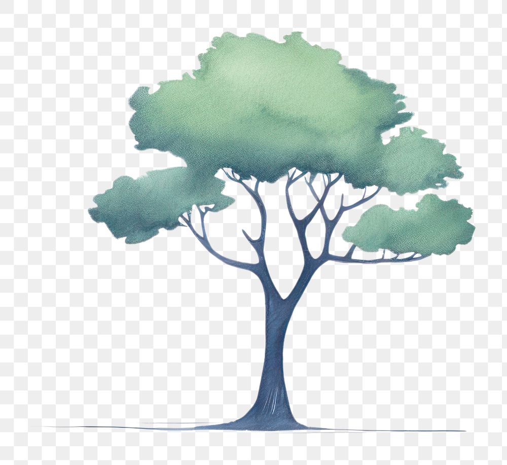 PNG Tree outdoors drawing sketch. AI generated Image by rawpixel.