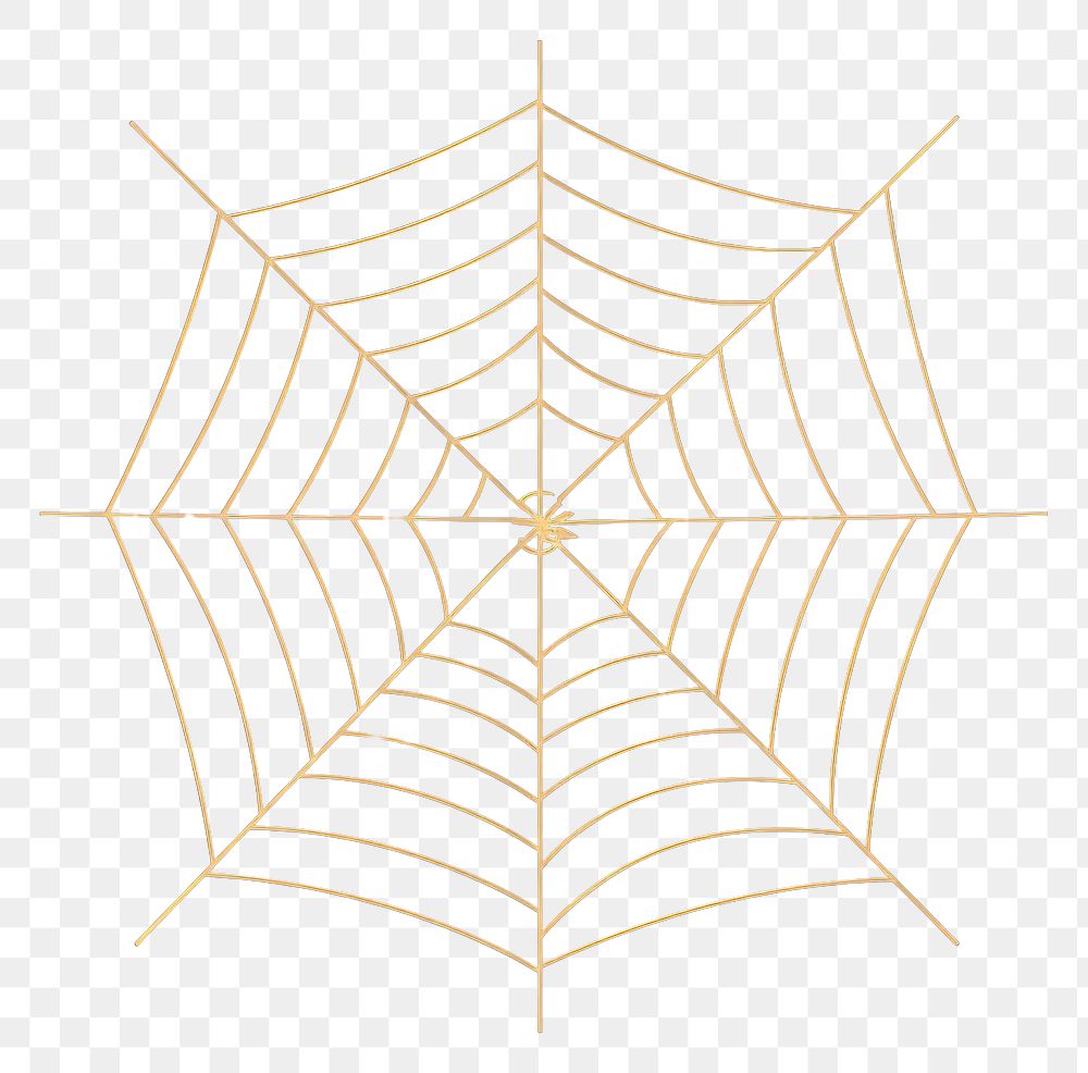PNG Spider web line backgrounds concentric. AI generated Image by rawpixel.